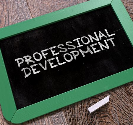Professional Development